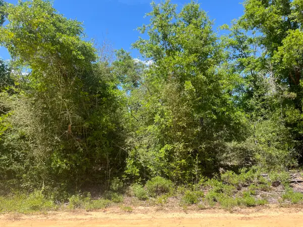 0 Hocking Street, Alford, FL 32420