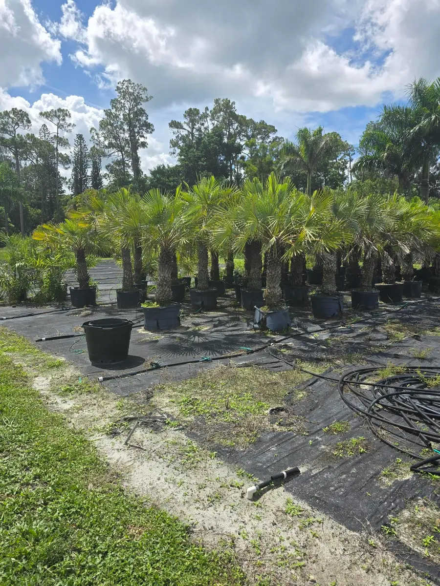 Address Withheld By Seller, Loxahatchee Groves, FL 33470 - Image #2