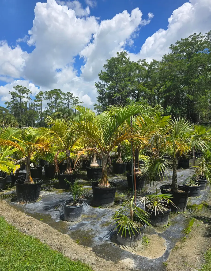 Address Withheld By Seller, Loxahatchee Groves, FL 33470 - Image #3