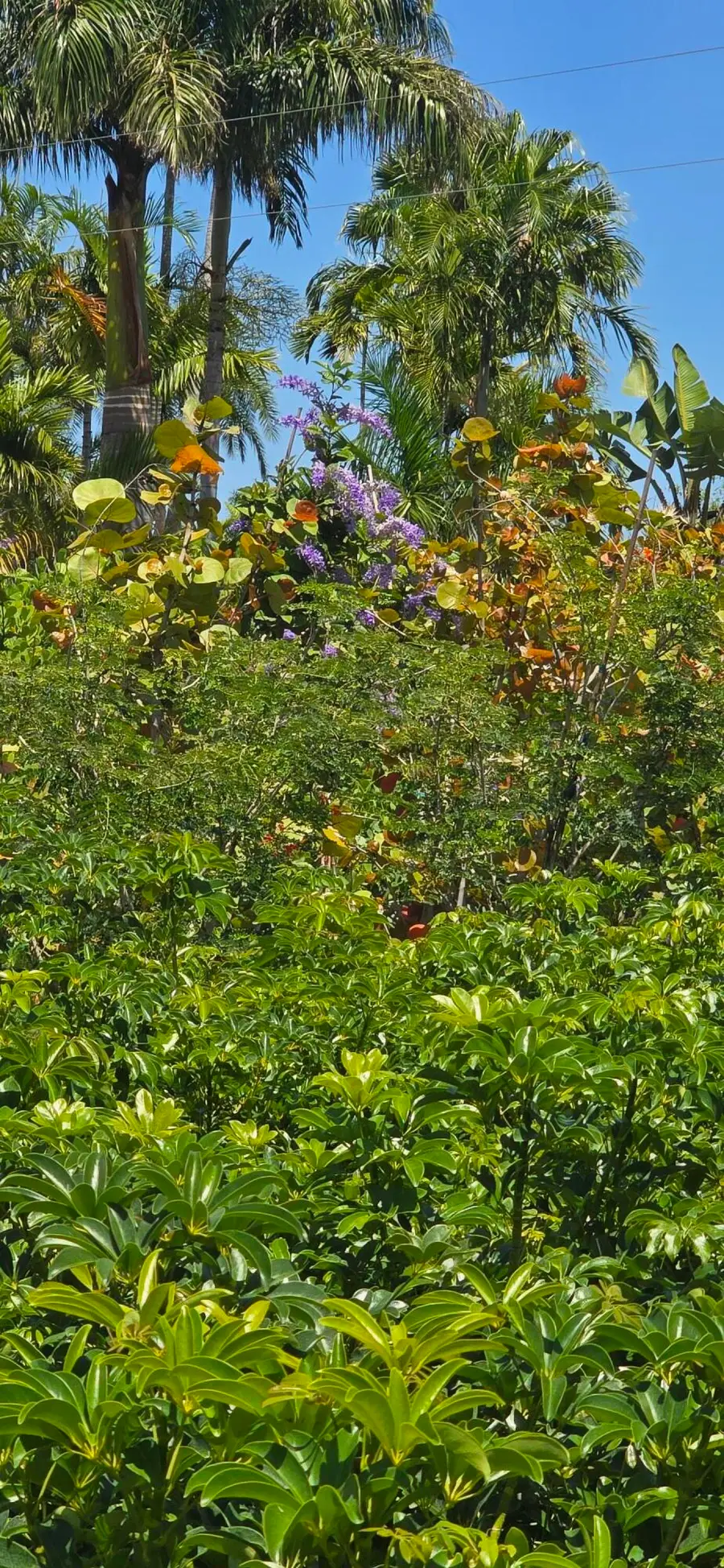 Address Withheld By Seller, Boynton Beach, FL 33472 - #3