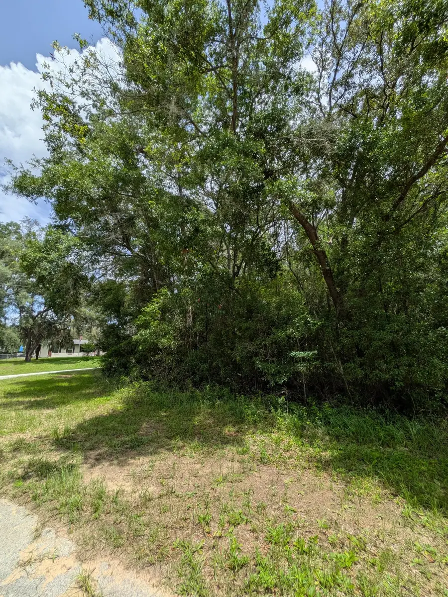 8989 N Conch Terrace, Citrus Springs, FL 34434 - Image #2