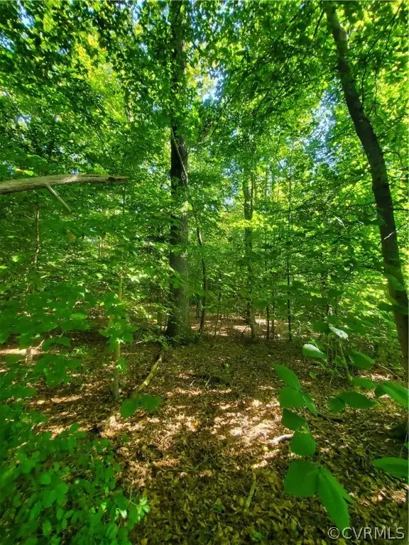 0 Olivet Church Road, New Kent, VA 23124 - Image #3