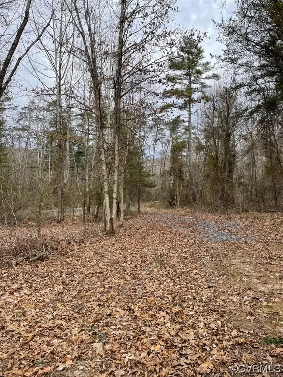 NA Estaline Valley Road, Craigsville, VA 24430 - #2