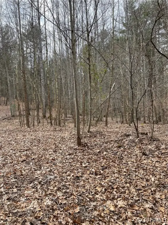 NA Estaline Valley Road, Craigsville, VA 24430 - #3