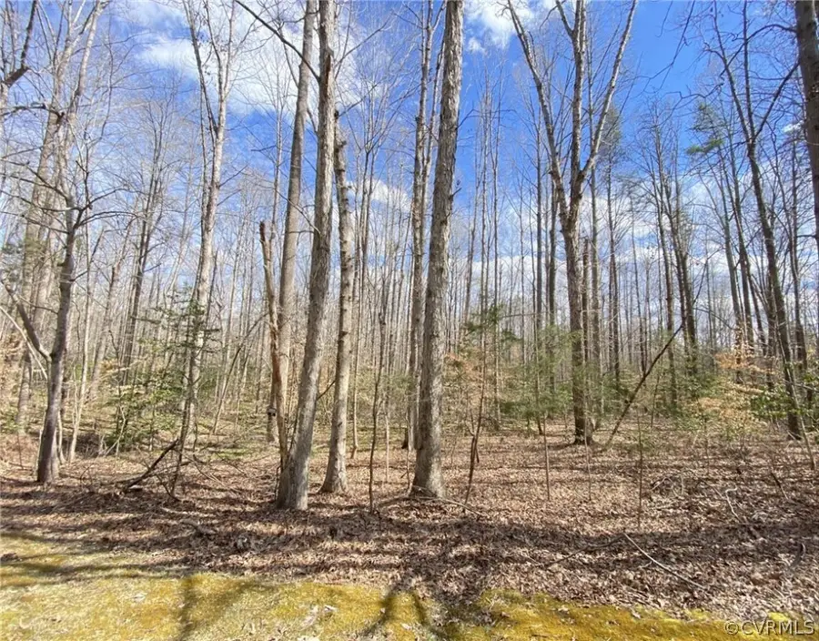 4601 Hadensville Farm Lane, Mineral, VA 23117 - Image #2