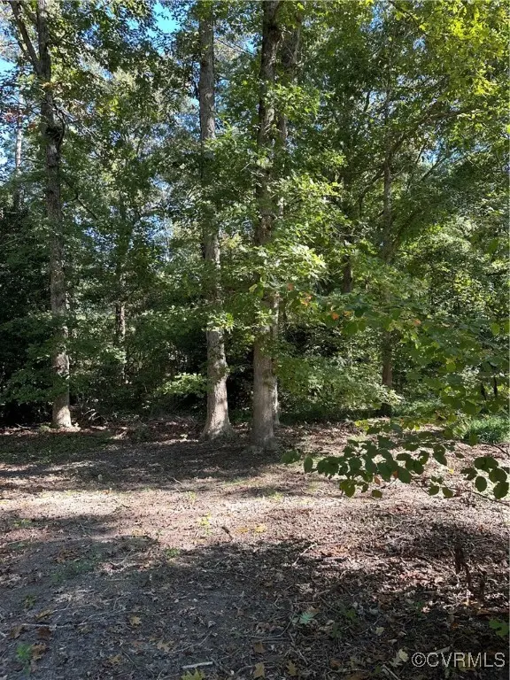 11219 E Chester Road, Chester, VA 23831 - Image #1