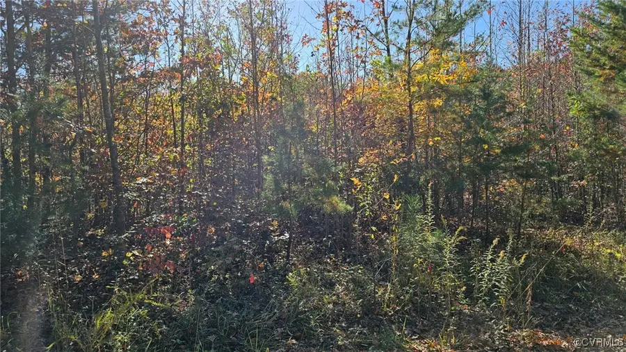 5301 Chimney Springs Drive, Goochland, VA 23063 - Image #2