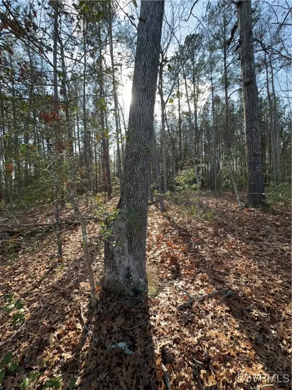 Lot 3 Mill Quarter Rd, Ford, VA 23850