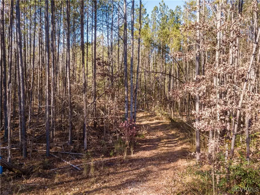 0 Grannys Lane, Rockville, VA 23146 - Image #3