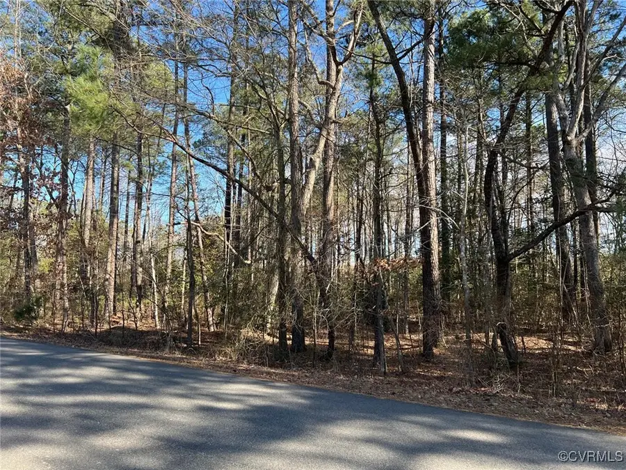 11141 Opaca Lane, Glen Allen, VA 23059 - Image #3