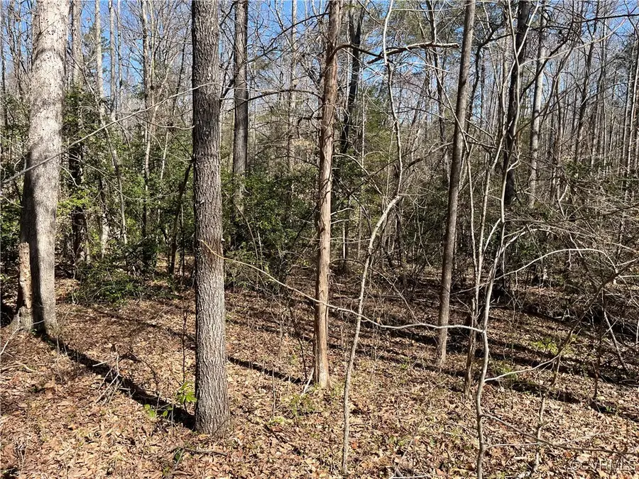 0 Watson Road, Gum Spring, VA 23153 - Image #2