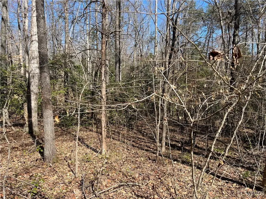 0 Watson Road, Gum Spring, VA 23153 - Image #3