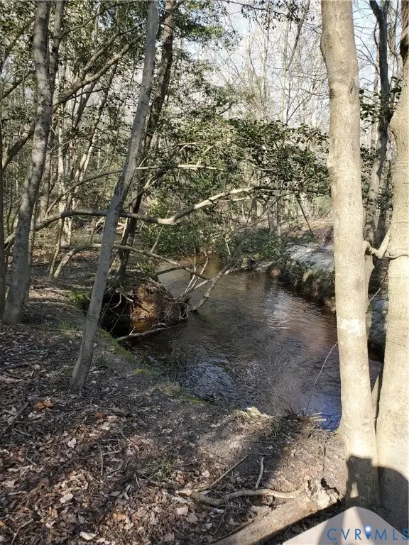 17237 Ivory Bill Lane, Chesterfield, VA 23838 - Image #3