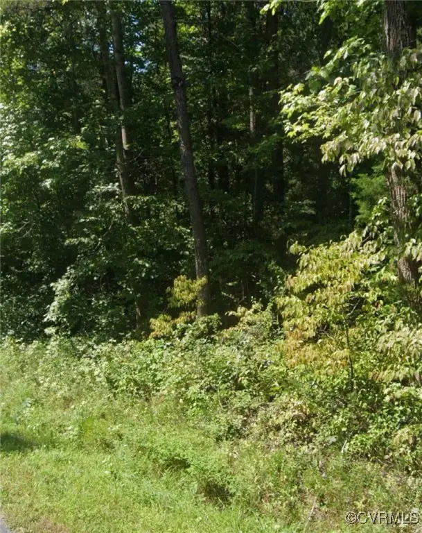 0 New Line Road, Gum Spring, VA 23065 - Image #2