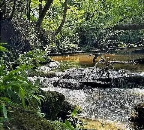 493 Solomon Road, Crewe, VA 23930 - Image #2