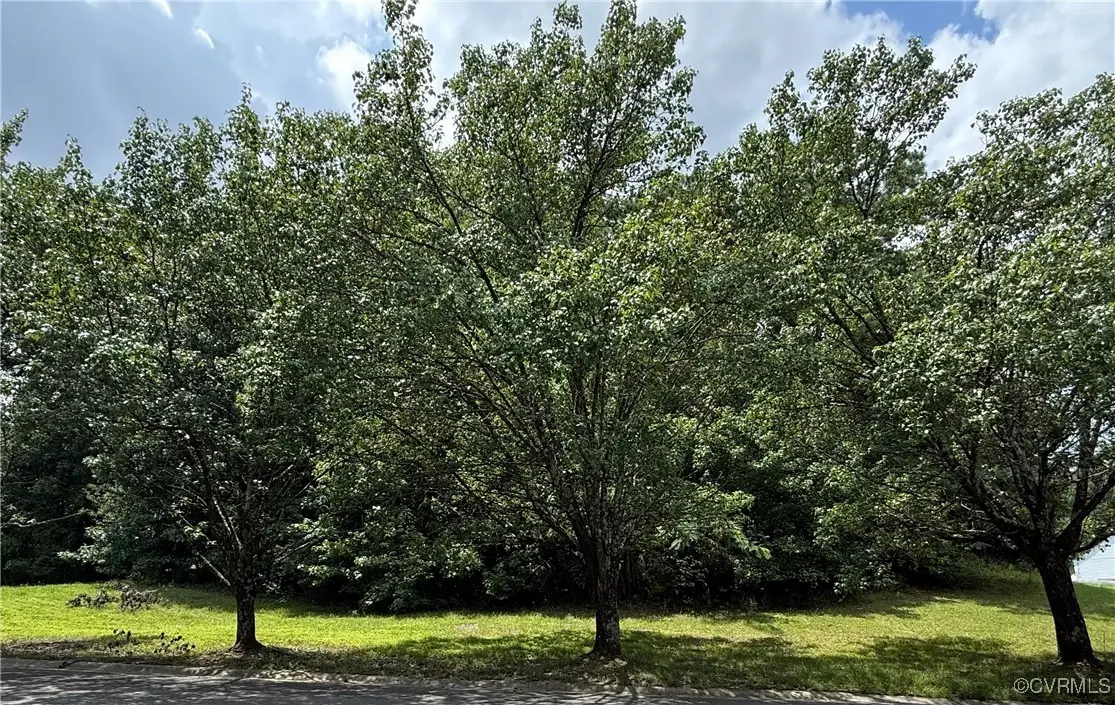 3832 Goodell Road, East Highland Park, VA 23223 - #1