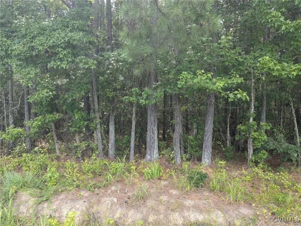 000 Little Mill Road, Jarratt, VA 23867 - Image #1