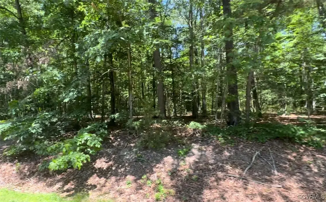 11300 Brooks Street, Glen Allen, VA 23059 - Image #1