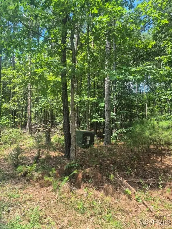 00 Hixburg Road, Prospect, VA 23960 - #2