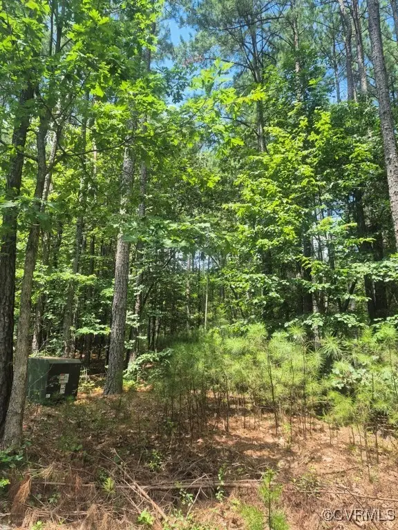 00 Hixburg Road, Prospect, VA 23960 - #3