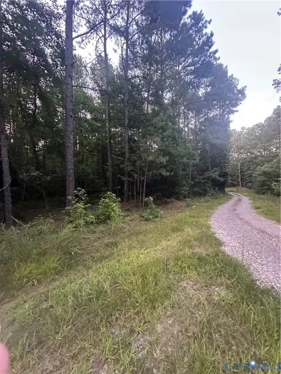 000 Loco School Road, Courthouse, VA 23882 - Image #3