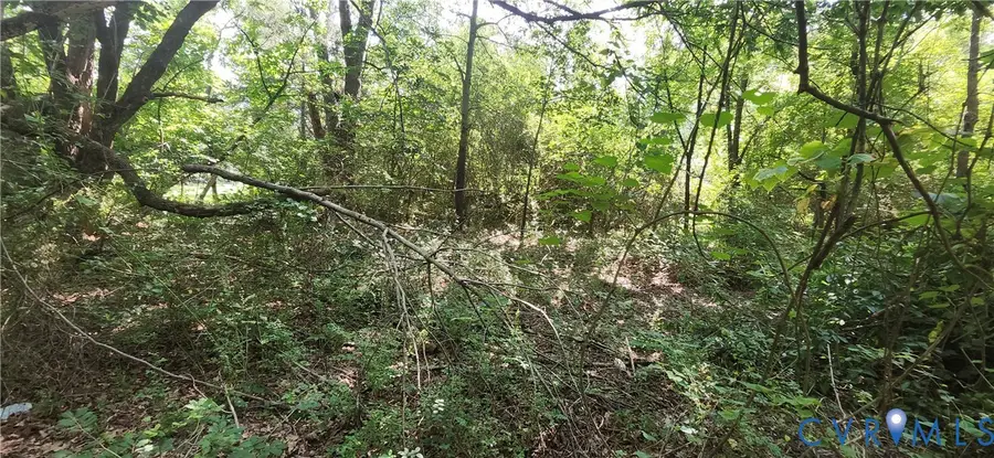 14316 Garnett Lane, Midlothian, VA 23114 - Image #2