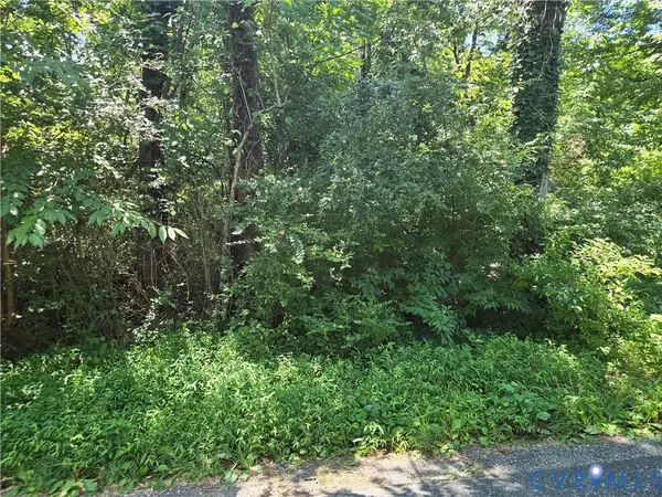 595 Woodfork Road, Charlotte Courthouse, VA 23923