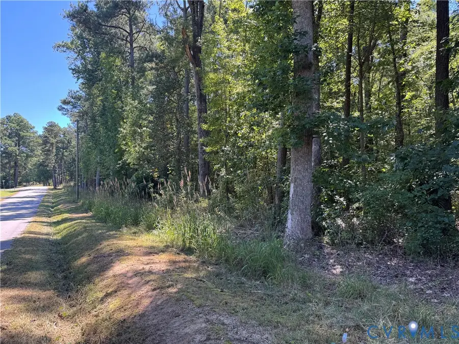 0 Virginia Avenue, Alberta, VA 23821 - Image #2