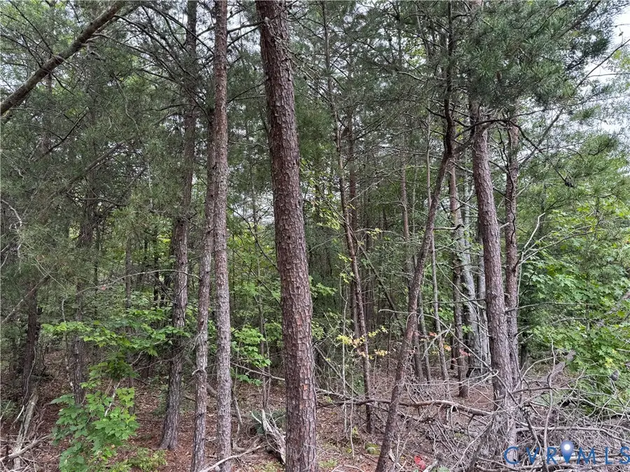 0 Clay Morris Estates, Louisa, VA 23093 - Image #2