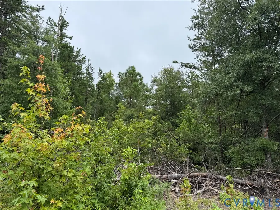 0 Clay Morris Estates, Louisa, VA 23093 - Image #3