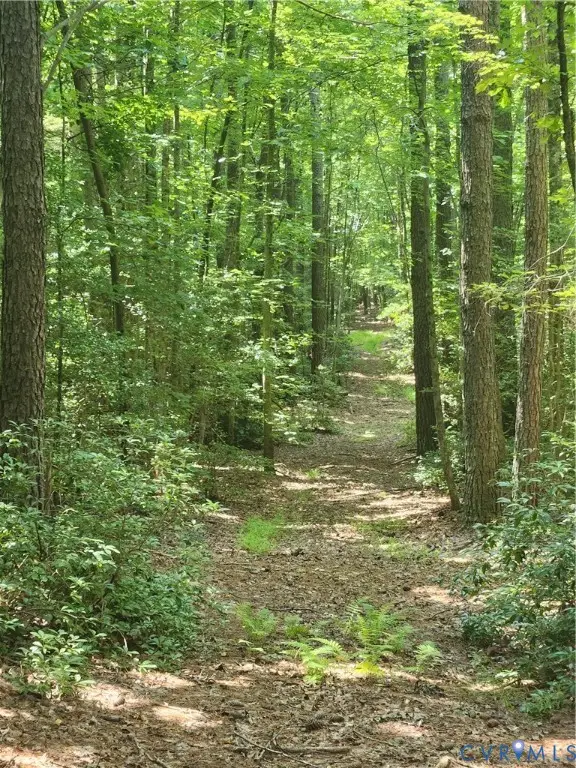 0 Purkins Road, Millers Tavern, VA 22560