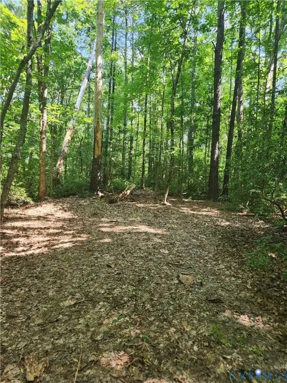 3282 Richmond Highway, Central, VA 22560 - Image #2