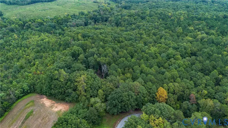 2095 Varick Chapel Road, Kenbridge, VA 23944 - Image #3