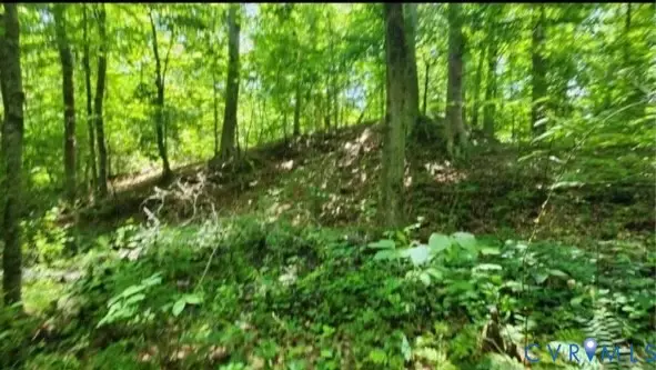 TBD Shady Pine Ln, Suffolk, VA 23434 - Image #3