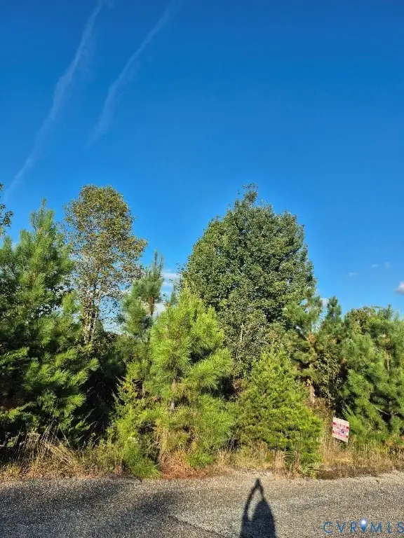 00 Fort Drive, Pamplin, VA 23958 - Image #2