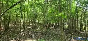 1370 Jasmine Road, Goochland, VA 23063 - Image #2