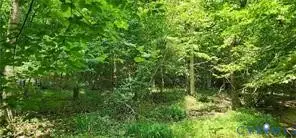 1370 Jasmine Road, Goochland, VA 23063 - Image #3