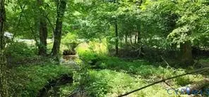 1380 Jasmine Road, Goochland, VA 23063 - Image #1