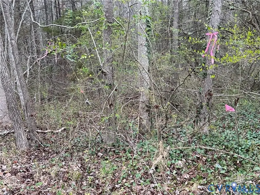 00 Broad Street Road, Goochland, VA 23065 - Image #2