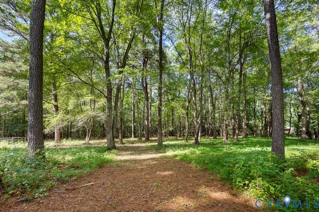 12800 Lewis Road, Chester, VA 23831 - #1