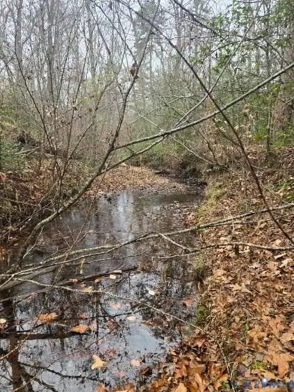 0 Tabscott Road, Kents Store, VA 23084 - Image #1