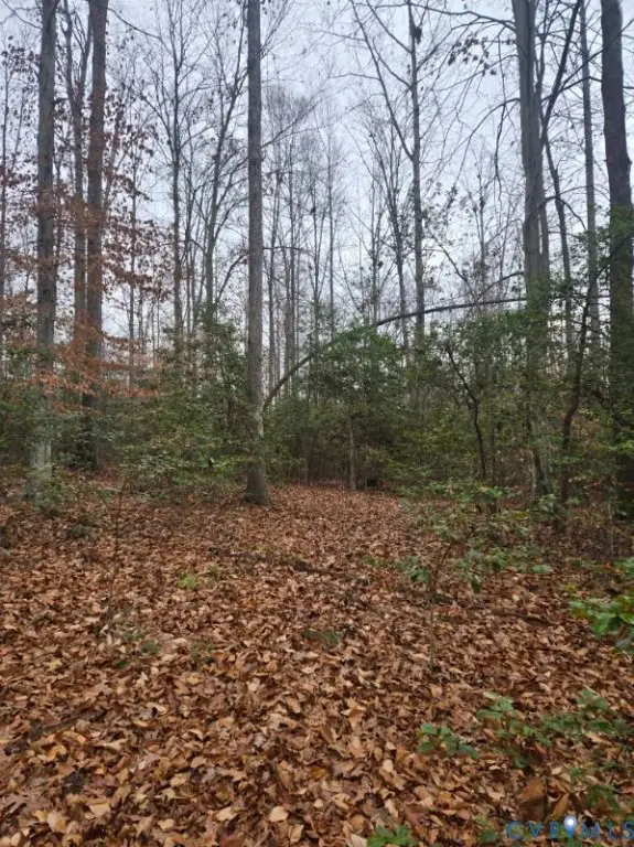 0 Tabscott Road, Kents Store, VA 23084 - Image #3