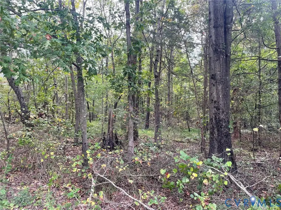 18001 Narrow Path Trail, Beaverdam, VA 23015 - Image #2