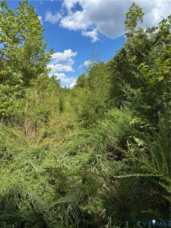 45-11 Turkey Egg Road, Dinwiddie, VA 23841 - Image #2