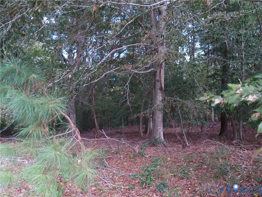 TBD Squirrel Hollow Lane, Barhamsville, VA 23011 - Image #2