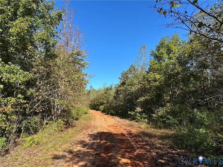 438 Mountain Top Road, New Canton, VA 23123 - Image #2