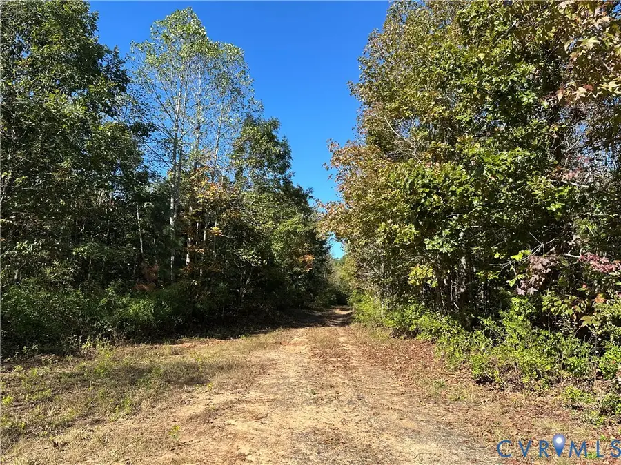 438 Mountain Top Road, New Canton, VA 23123 - Image #3