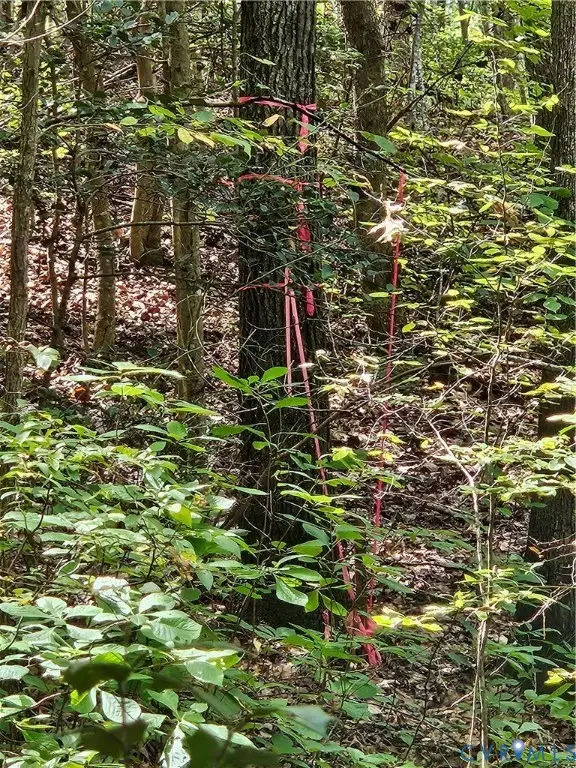 00 Off Of Long Branch Road, Woodford, VA 22580