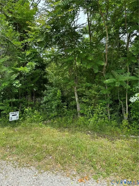 0 Winisfree, Blackstone, VA 23824