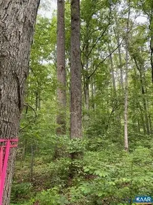 Lot 2 Waldrop Church Road, Louisa, VA 23093 - #2